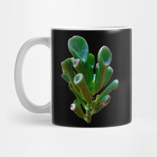 Crassula Ovata Gollum Mug